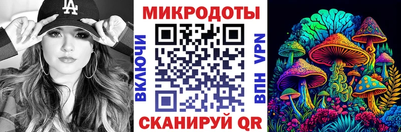 Псилоцибиновые грибы Psilocybine cubensis  Нерчинск 